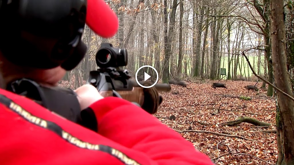 Compilation De Jolis Tirs Sangliers - Blog De Chasseur