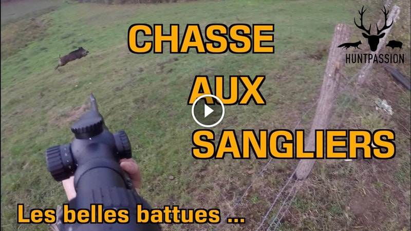 Chasse Aux Sangliers 2018/2019 - Les Belles Battues... - Blog De Chasseur