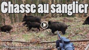 Chasse Sanglier 2018 - Nombreux Tirs Avec De Nombreux Sangliers ...