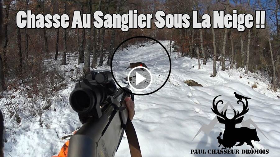 Chasse Au Sanglier Sous La Neige