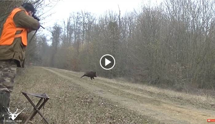 GROSSE BATTUE AUX SANGLIERS ! 3 LE MÊME JOUR